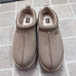 Ugg Tazz mustard seed